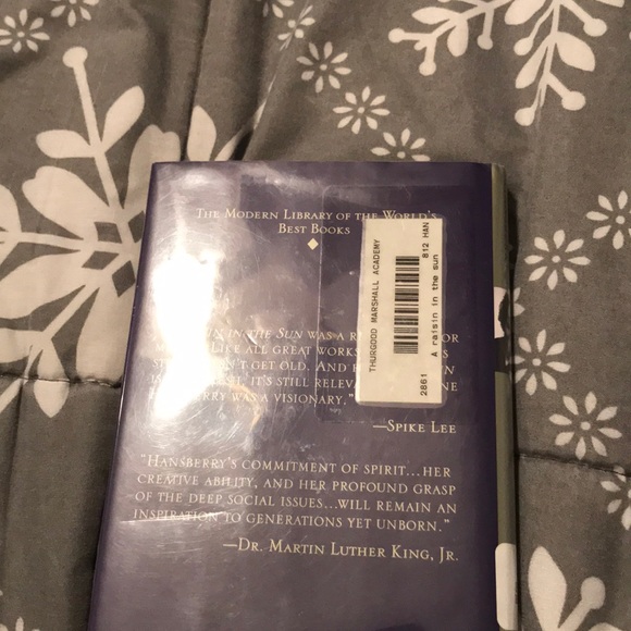 A Raisin In The Sun - Picture 3 of 4